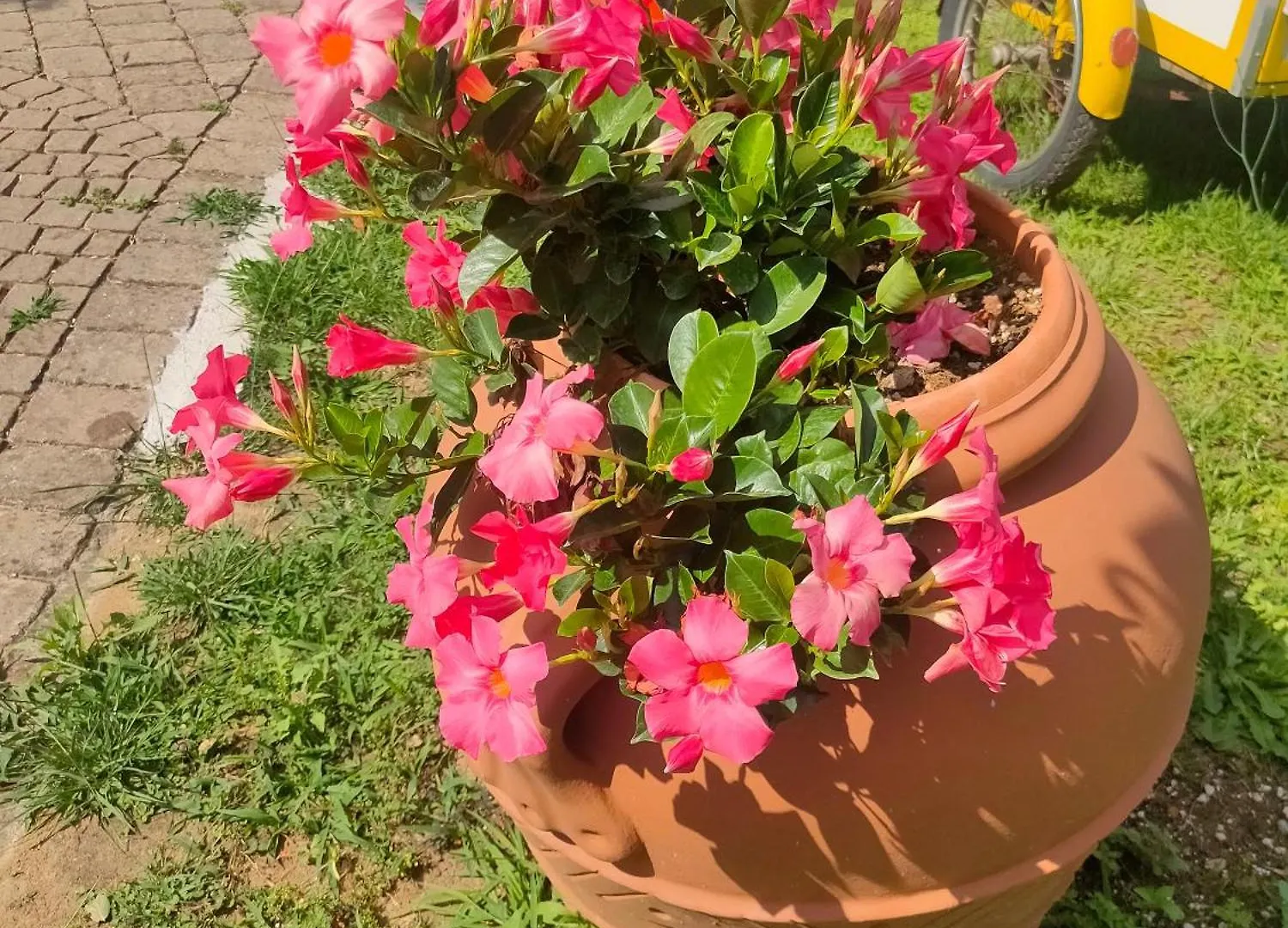 Farm stay Agriturismo - Collina Toscana Resort Monsummano Terme Italy