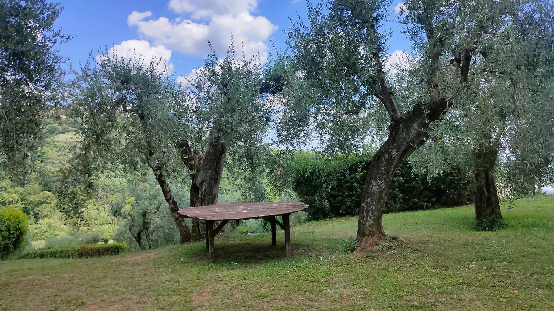 Agriturismo - Collina Toscana Resort Monsummano Terme 0*,  Italy
