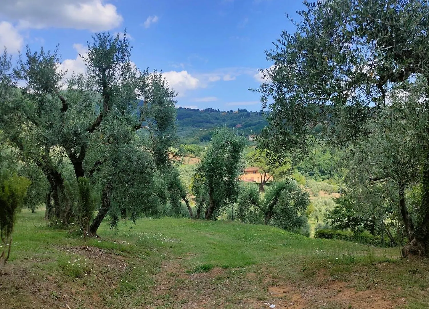 Farm stay Agriturismo - Collina Toscana Resort Monsummano Terme